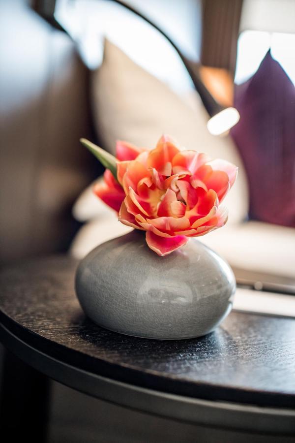Hotel Restaurant Spa Torkel นอนเนนฮอร์น ภายนอก รูปภาพ
